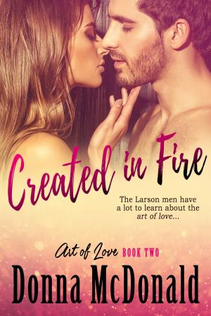 Cover of the book Created In Fire by Tamsyn Bester