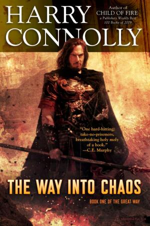 Cover of the book The Way Into Chaos by Andy Morris