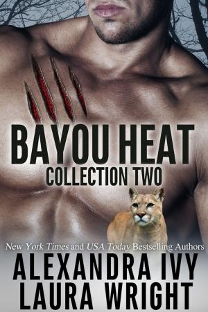 Book cover of Bayou Heat Collection Two