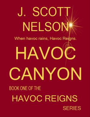 Book cover of Havoc Canyon
