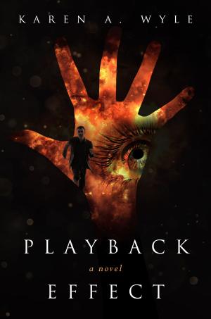 Cover of the book Playback Effect by David Tiefenthaler