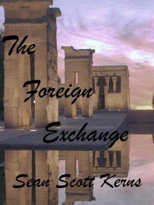 Cover of the book The Foreign Exchange by Jennifer Cody Epstein