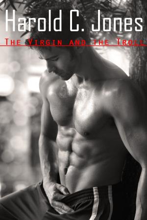 Cover of the book The Virgin and the Troll by Louis Shalako