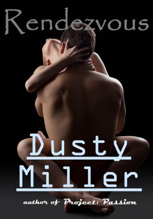 Cover of the book Rendezvous by Constance 'Dusty' Miller