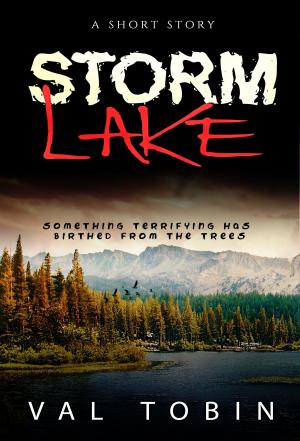 Cover of the book Storm Lake by Aryssa Valladares