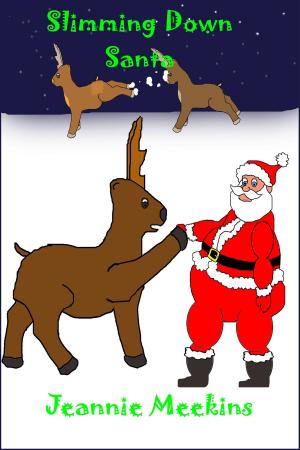 Cover of the book Slimming Down Santa by Carter Rydyr