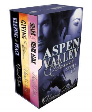 Cover of the book Aspen Valley Series 1-3 Boxset by Bruce Rose