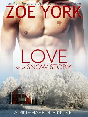 Book cover of Love in a Snow Storm