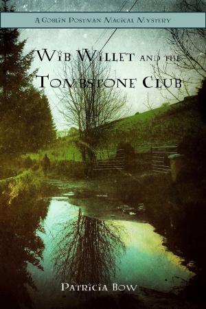 Book cover of Wib Willett and the Tombstone Club