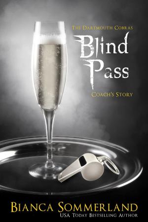 Cover of the book Blind Pass by Kate Vale