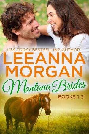 Cover of the book Montana Brides Boxed Set (Books 1-3) by Roe Valentine