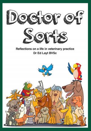 Book cover of Doctor of Sorts
