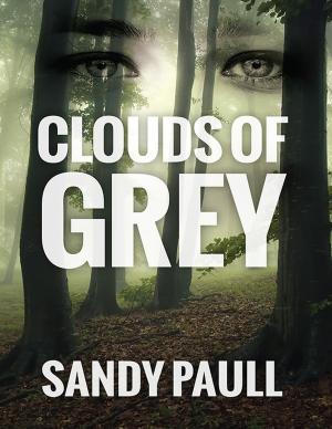 Cover of the book Clouds of Grey by Leonard Wibberley, Patrick O'Connor