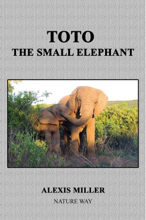 Cover of the book TOTO the small elephant by Elmorris Still