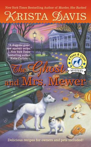 Cover of the book The Ghost and Mrs. Mewer by Ernest Freeberg