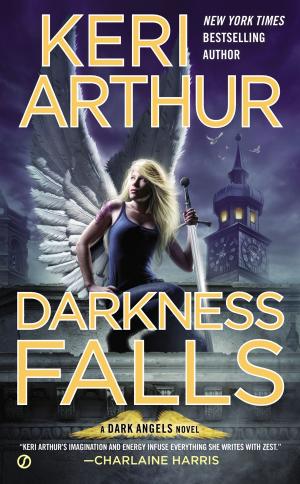Cover of the book Darkness Falls by Robin Silverglate