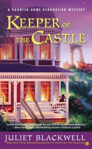 Cover of the book Keeper of the Castle by Jack Higgins