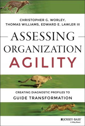 Cover of the book Assessing Organization Agility by Dena J. Fischer, Nathaniel S. Treister, Andres Pinto