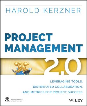Cover of the book Project Management 2.0 by Constantino Carlos Reyes-Aldasoro