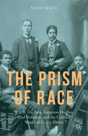 Cover of the book The Prism of Race by Jung Eun Jang