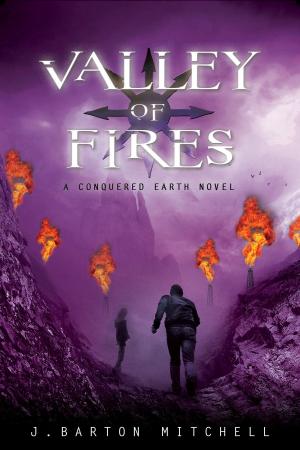 Cover of the book Valley of Fires by Michael Atkinson