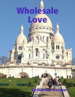 Cover of the book Wholesale Love by Chris Morningforest, Rebecca Raymond