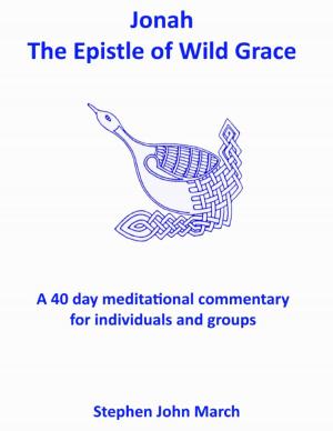Cover of the book Jonah - The Epistle of Wild Grace by Ian Shimwell