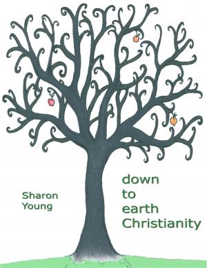 Cover of the book Down to Earth Christianity by Amrita Tezla