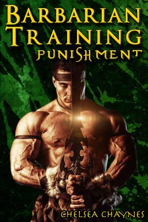 Book cover of The Barbarian's Training - Punishment (#2) - (Medieval BDSM Erotica / Barbarian Erotica)