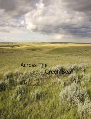 Book cover of Across The Green Sea