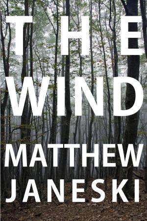 Cover of the book The Wind by H. K. Kyle