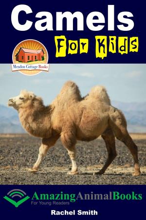 Cover of the book Camels For Kids by Molly Davidson