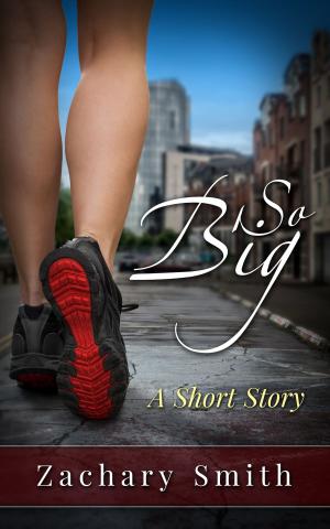 Cover of the book So Big by C. Tiesse