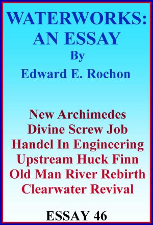 Cover of the book Waterworks: An Essay by Edward E. Rochon