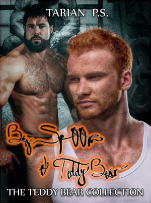 Cover of the book Big Spoon & Teddy Bear by Alexis E. Skye