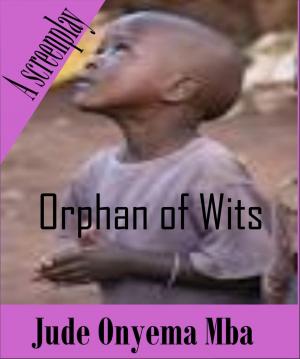 Cover of the book Orphan of Wits by Jewel Star