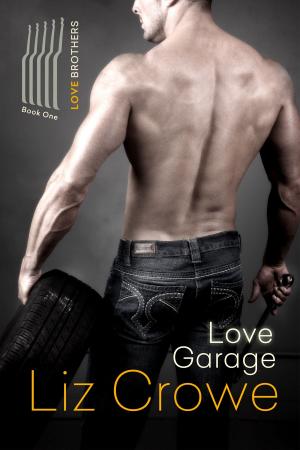 Book cover of Love Garage