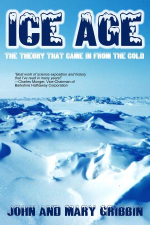 Book cover of Ice Age
