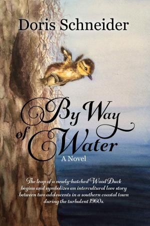 Cover of the book By Way of Water by Deborah Tadema