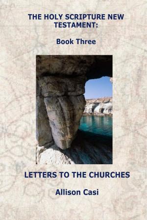 Cover of the book The Holy Scripture New Testament: Book Three: Letters To The Churches by Daniel Foor