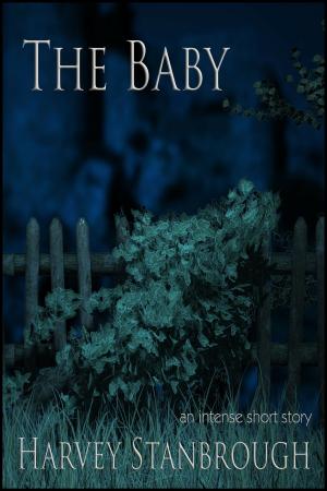 Cover of the book The Baby by Eric Stringer