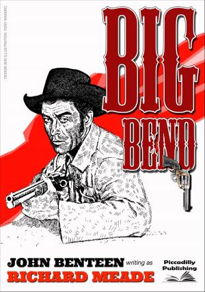 Cover of the book Big Bend by John B. Harvey