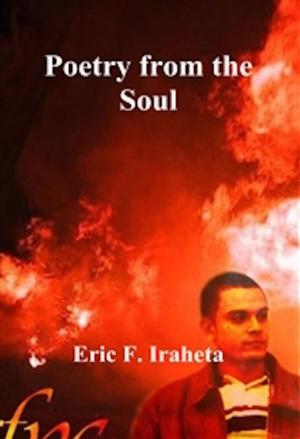 Cover of the book Poetry from The Soul by Kevin Shlosberg