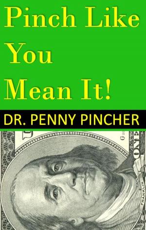 Cover of the book Pinch Like You Mean It! 101 Ways to Spend Less Money Now by Lucy Bernholz