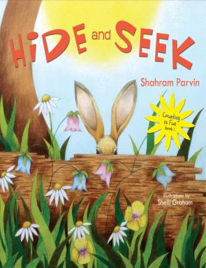 Book cover of Hide and Seek: Counting is Fun book 1