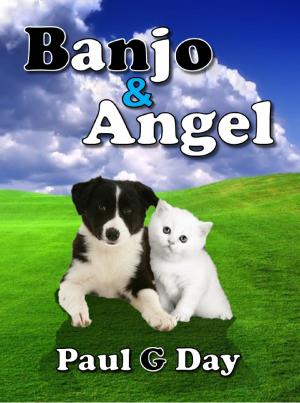 Cover of the book Banjo & Angel by Kerim Ozkan