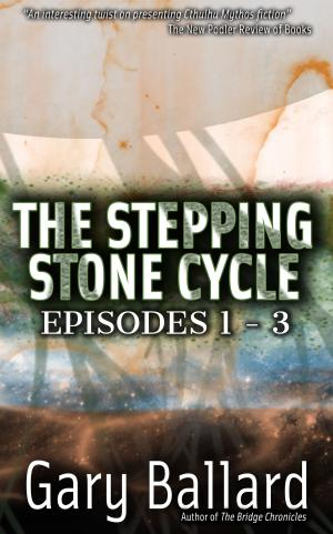 Book cover of The Stepping Stone Cycle, Episodes 1-3