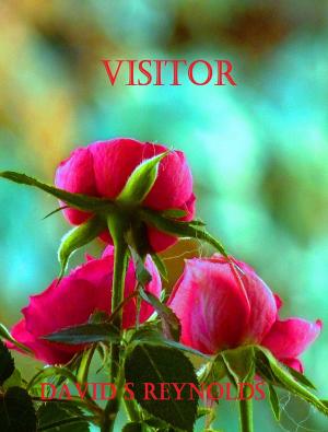 Cover of the book Visitor by Amy Rivers