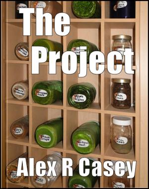 bigCover of the book The Project by 