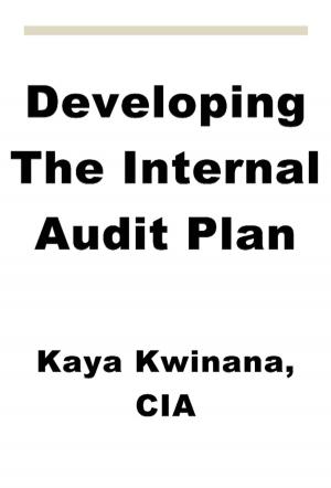 Book cover of Developing The Internal Audit Plan